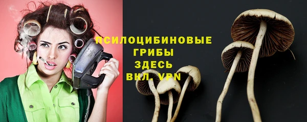 мдпв Бугульма