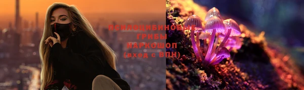 a pvp Бородино