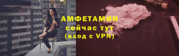 крисы Бронницы