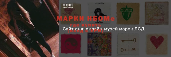 a pvp Бородино