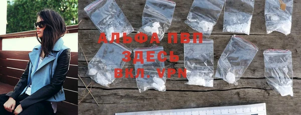 a pvp Бородино