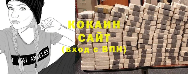 крисы Бронницы