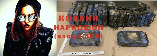 крисы Бронницы