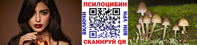 Купить закладки  Клин  Галлюциногенные грибы мицелий 